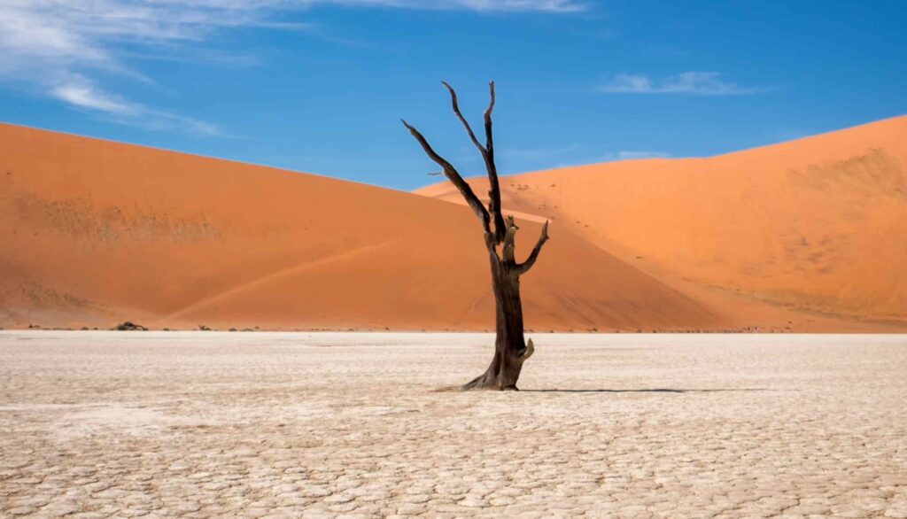 desierto viajar a egipto